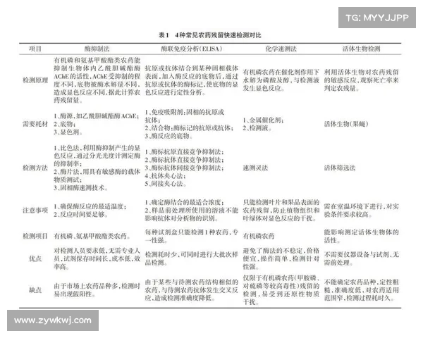 暴君刷新时间的多重影响因素分析与应对策略探讨 暴君刷新时间的多重影响因素分析与应对策略探讨