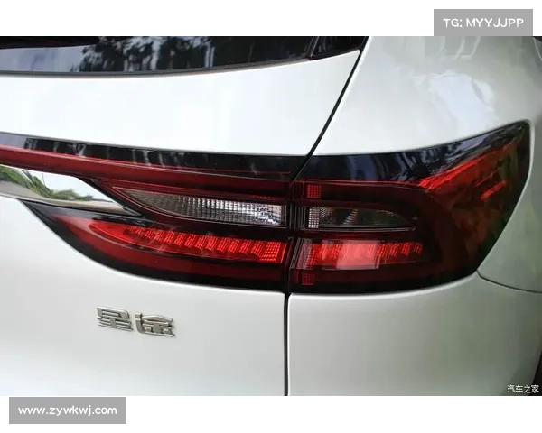 以巴舒亚伊语言使用特点分析及其多语言背景的全面探讨